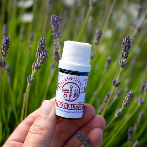 Stress Buster Pure EOils 5ml Stress Buster Pure EOils 5ml