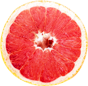 Grapefruit Oil CP 5ml