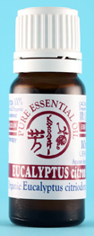 Eucalyptus citriodora Oil 10ml