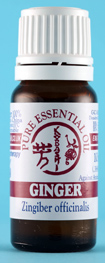 Ginger Oil 10ml