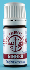 Ginger Oil 5ml