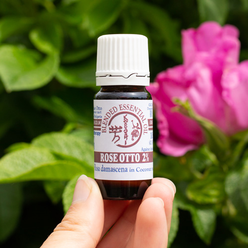 Rose Otto 2% in Coconut Oil 10ml